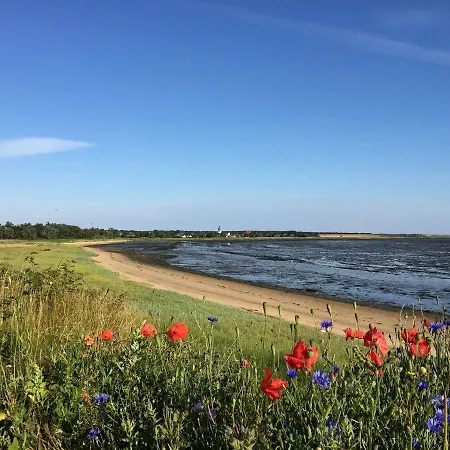 Kleiner Wattprinz * 内伯尔