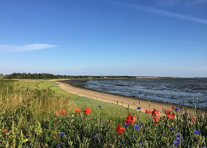 Kleiner Wattprinz * Nebel